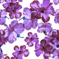 Vanilla Hibiscus Garden. Purple Flower Backdrop. Lavender Seamless Garden. Pink Vintage Wallpaper. Pattern Background. Watercolor