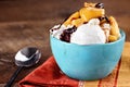 Vanilla Ice Cream with Apple Cranberry Crisp Royalty Free Stock Photo