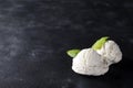 Vanilla ice cream ball with green leaves on dark