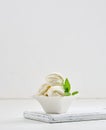 Vanilla ice cream balls with green mint leaf in a white ceramic plate Royalty Free Stock Photo