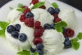 Vanilla ice cream with berries