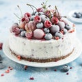 Vanilla ice cream cake with frozen berries Royalty Free Stock Photo