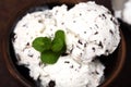 Vanilla ice cream with chocolate chips - straciatella Royalty Free Stock Photo