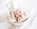 Vanilla ice cream with chocolate Royalty Free Stock Photo