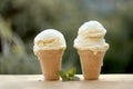 Vanilla ice cream cones