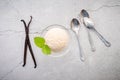 Vanilla ice cream flavor in bowl with vanilla pods setup on concrete background . Summer and Sweet menu concept Royalty Free Stock Photo
