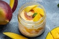 Vanilla ice cream with fresh mangoes. Mango ice cream sorbet in a glass jar Royalty Free Stock Photo