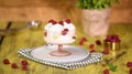 Vanilla ice cream with fresh raspberry in a glass bowl. Royalty Free Stock Photo