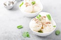 Vanilla ice cream with grated chocolate and mint Royalty Free Stock Photo