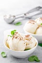 Vanilla ice cream with grated chocolate and mint Royalty Free Stock Photo