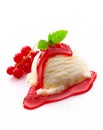 Vanilla ice-cream and redcurrant syrup Royalty Free Stock Photo