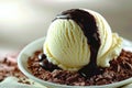 Vanilla Ice Cream Scoop with Chocolate Sauce. Royalty Free Stock Photo