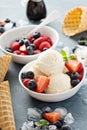 Vanilla ice cream scoops with berries Royalty Free Stock Photo