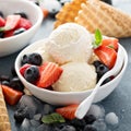 Vanilla ice cream scoops with berries Royalty Free Stock Photo