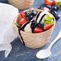 Vanilla ice cream scoops with berries Royalty Free Stock Photo