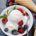 Vanilla ice cream scoops with fresh berries Royalty Free Stock Photo