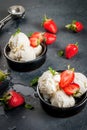 Vanilla ice cream with strawberries and mint Royalty Free Stock Photo