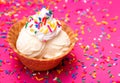 Vanilla Ice Cream in a Waffle Cone Bowl with a Cherry on Top Royalty Free Stock Photo
