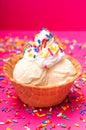 Vanilla Ice Cream in a Waffle Cone Bowl with a Cherry on Top Royalty Free Stock Photo