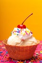 Vanilla Ice Cream in a Waffle Cone Bowl with a Cherry on Top Royalty Free Stock Photo