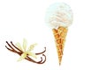 Vanilla ice cream in a waffle cone and vanilla pods with flower, watercolor