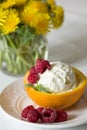 Vanilla Icecream with raspberry, summer dessert. Delicious sundae scoop in an orange half on a white plate Royalty Free Stock Photo