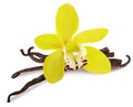 Vanilla isolated. Stick pile and yellow Orchid flower and dry beans isolated on white background as package design detail Royalty Free Stock Photo