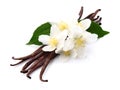 Vanilla with jasmine Royalty Free Stock Photo