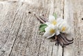 Vanilla with jasmine Royalty Free Stock Photo