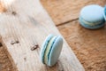 Vanilla macarons with cream cheese filling Royalty Free Stock Photo