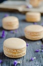 Vanilla macaroon