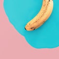 Vanilla minimal style. Exclusive Banana. fashion photos Royalty Free Stock Photo