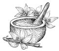 Vanilla with Mortar and Pestle. Hand drawn vector illustration of Flowers and retro wooden utensils in white and black Royalty Free Stock Photo