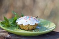 Vanilla muffin. Cupcake with white icing and colorful decorations
