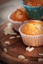 Vanilla muffins