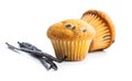 Vanilla muffins and vanilla pods. Sweet cupcakes