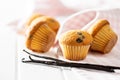 Vanilla muffins. Sweet cupcakes and vanilla pods Royalty Free Stock Photo