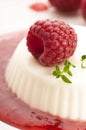 Vanilla panna cotta with berry sauce