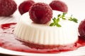 Vanilla panna cotta with berry sauce