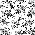 Vanilla pattern background set. Collection icon vanilla. Vector