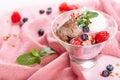 Vanilla Pink Fruit Chocolate Ice Cream Glass Bowl