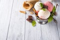 Vanilla and pink ice cream in a bowl with frozen berries and waffle cone Royalty Free Stock Photo