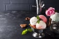 Vanilla and pink ice cream in a bowl with frozen berries and waffle cone Royalty Free Stock Photo