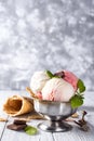 Vanilla and pink ice cream in a bowl with frozen berries and waffle cone Royalty Free Stock Photo