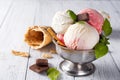 Vanilla and pink ice cream in a pial with frozen berries and waffle cone Royalty Free Stock Photo