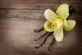 Vanilla Pods and Flower Royalty Free Stock Photo