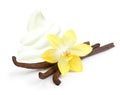Vanilla pods, flower and ice cream Royalty Free Stock Photo