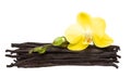 Vanilla pods and flower isolated