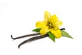 Vanilla pods and flower