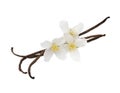 Vanilla pods with jasmine flower Royalty Free Stock Photo